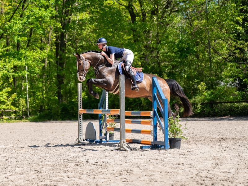 Ratina (ADSL x CABRIO VD HEFFINCK)