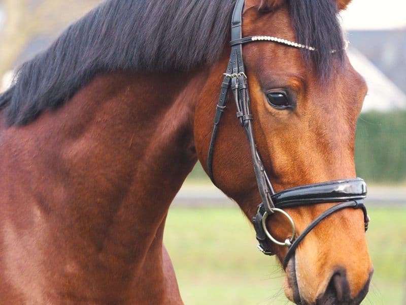 Soulmate ABOUT YOU RS2 x COVERSTORY