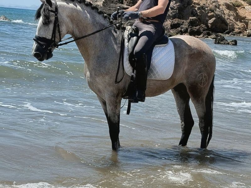 Ocean